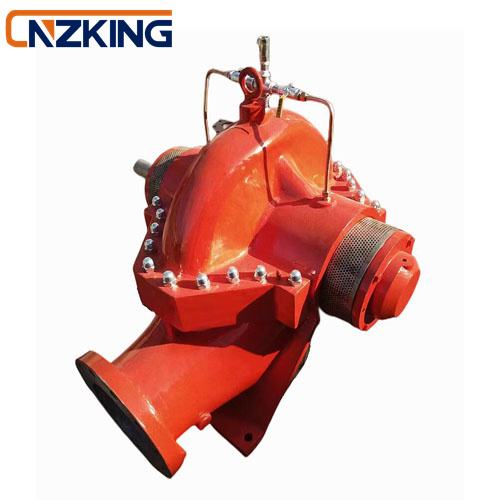 Double Suction Water Pump